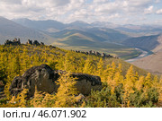 Осень в горах Якутии, золотая лиственница, скалы, река. Оймяконский район. Стоковое фото, фотограф Павел Просянов / Фотобанк Лори