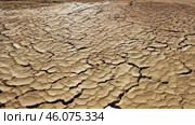 Cracked desert land with tumbleweed. Water problems, global warming, drought, water shortage in the world, health problems, poverty and misery in countries. Climate change: from friendship to green grove. Стоковое AI-видео, аниматор ALLA YURTAYEVA / Фотобанк Лори