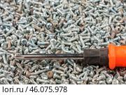 Screwdriver lying on a pile of white screws. Tool and equipment. Стоковое фото, фотограф Александр Собко / Фотобанк Лори