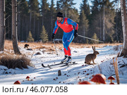 Лыжник в ярком костюме наслаждается зимой в лесу с дикими животными и грибами. Стоковое AI-изображение, AI-художник Сергей Никифоров-Гордеев / Фотобанк Лори