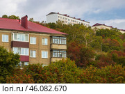 Город Корсаков, Сахалинская область, Дальний Восток России. Вид на жилые дома на склоне холма среди деревьев рябины. Красивый осенний городской пейзаж. Стоковое фото, фотограф Андрей Степанов / Фотобанк Лори