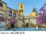 Palace of the Kings of Navarre, Olite, Spain (2018 год). Стоковое фото, фотограф Boris Breytman / Фотобанк Лори