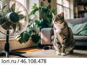The cat is suffering from the heat. On a very hot summer day, a tired cat is in the living room in front of the fans. Стоковое AI-изображение, AI-художник Photojuli / Фотобанк Лори
