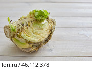 Ugly fruits and vegetables. spoiled cabbage. Copy spase. Horizontal shoot. Стоковое фото, фотограф Кутина Татьяна / Фотобанк Лори