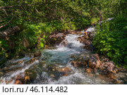 The sources of the Alibek River flowing down from the mountain slopes of the North Caucasus on the territory of the Teberdinsky Reserve on a sunny summer day, Dombai, Karachay-Cherkessia, Russia. Стоковое фото, фотограф Ula Ulachka / Фотобанк Лори