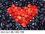 Heart shape of wild berries. Сердце из ягод земляники в окружение черники. Стоковое фото, фотограф Photolart / Фотобанк Лори