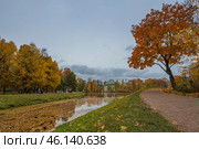 Таврический сад. Пруд. Санкт-Петербург. Редакционное фото, фотограф Андрей Игнатов / Фотобанк Лори