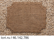 Figured frame with burlap and stitches with  place for your text lying on sunflower seeds. Стоковое фото, фотограф Александр Собко / Фотобанк Лори