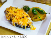 Stuffed with meat tasty eggplant baked with bechamel sauce. Стоковое фото, фотограф Яков Филимонов / Фотобанк Лори