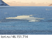 Зимний северный морской пейзаж. Вид на покрытую льдом морскую бухту. Замерзающая вода. Полынья с незамерзшей водой среди льдин. Холодная морозная погода. Проблемы изменения климата. Красивый природный фон. Стоковое фото, фотограф Андрей Степанов / Фотобанк Лори