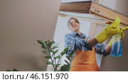 Young woman thoroughly cleaning windows to let in more sunlight. Regular cleaning removes dust and pollen, improving air quality. Стоковое видео, видеограф Svetlana Golovco / Фотобанк Лори