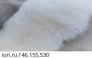 Woman carefully examines artificial fur skin in carpet store. She runs her hand along soft pile, evaluating his tactile properties and appearance. Around it, variety of carpet models that. Стоковое видео, видеограф Скрипачев Антон / Фотобанк Лори