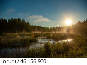 Уртенний перезапуск жизни заболоченной реки. Стоковое фото, фотограф Алексей Денисов / Фотобанк Лори