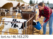 Young female farmer feeding small calves in cowshed. Стоковое фото, фотограф Яков Филимонов / Фотобанк Лори