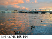 Санкт-Петербург. На набережной Невы около сфинксов (2015 год). Стоковое фото, фотограф Александр Алексеев / Фотобанк Лори