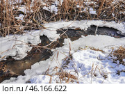 Родник с прозрачной водой журчащий посреди тающего льда в камышах. Стоковое фото, фотограф Сергей Авдеенко / Фотобанк Лори