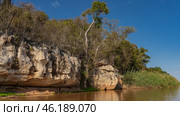 A calm red-brown African river. The coastal limestone cliffs are eroded. Trees, green grass on the riverbank. The blue sky. Madagascar. Manambolo river. (2023 год). Стоковое фото, фотограф Вера Ивановна Кубарева / Фотобанк Лори