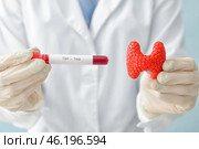 Doctor with model of thyroid gland and blood sample in test tube, closeup. Стоковое фото, фотограф Pixel_shot / Фотобанк Лори