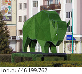 Топиарная фигура "Зубр". Беларусь, город Брест, Бульварное кольцо (бульвар Шевченко / набережная Франциска Скорины) (2020 год). Редакционное фото, фотограф Алексей Иванов / Фотобанк Лори