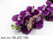 Пятнистый эублефар Eublepharis macularius альбинос со вторичным хвостом на ветке искусственной орхидеи. Стоковое фото, фотограф Алиса Сокол / Фотобанк Лори