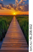 Sunset over a wooden walkway extending into a grassy marshland landscape. Стоковое AI-изображение, AI-художник Юлия Гапеенко / Фотобанк Лори