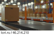 Cardboard boxes speeding on a conveyor belt in a bustling warehouse. Packages Move on a Conveyor Belt. Logistics and transportation background. Product distribution center. Moving image. Export, cargo. Стоковое AI-видео, аниматор Марина Демидюк / Фотобанк Лори