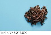 Earthworms on a blue background for text or product. Bait for fishing. Ecological processing of food waste. Стоковое фото, фотограф Кутина Татьяна / Фотобанк Лори