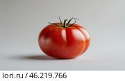 Freshly picked heirloom tomato displayed on a neutral background highlighting its vibrant red color and unique shape. Стоковое AI-изображение, AI-художник Сергей Толмачёв / Фотобанк Лори