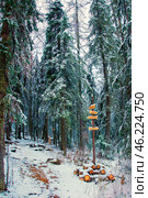 mountain peak sign on the Great Ural Trail on a winter day. Text in Russian: Iremel, bakty, zigalga, zherebchik. Стоковое фото, фотограф Акиньшин Владимир / Фотобанк Лори