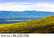 the endless Ural Taiga among the mountains and ridges on a summer day. Стоковое фото, фотограф Акиньшин Владимир / Фотобанк Лори
