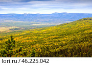 the endless Ural Taiga among the mountains and ridges on a summer day. Стоковое фото, фотограф Акиньшин Владимир / Фотобанк Лори