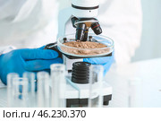 Scientist studying samples of soil in laboratory. Стоковое фото, фотограф Pixel_shot / Фотобанк Лори
