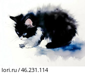 Funny black and white kitten near a mouse hole, watercolor. Стоковое AI-изображение, AI-художник Сергей Елизарьев / Фотобанк Лори