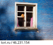 Уличный кот забирается в окно старого кирпичного дома. A street cat climbs through the window of an old brick house. (2024 год). Стоковое фото, фотограф Евгений Романов / Фотобанк Лори