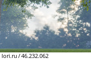 Tranquil sunrise scene over green meadow, golden light filtering through trees, misty morning air, serene nature landscape, lush grass, peaceful atmosphere, relaxation. Стоковое фото, фотограф Павел Муравьев / Фотобанк Лори