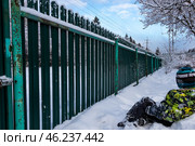 Мальчик играет у зеленого забора. Стоковое фото, фотограф Татьяна Новикова / Фотобанк Лори