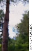 Swift dragonfly flight in sunlit forest: capturing nature's dynamic dance. Стоковое видео, видеограф Zakharova Natasha / Фотобанк Лори