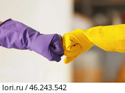 Women in rubber gloves bumping fists at home. Стоковое фото, фотограф Pixel_shot / Фотобанк Лори