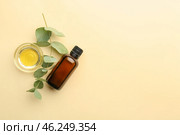 Bottle and bowl with eucalyptus essential oil on color background. Стоковое фото, фотограф Pixel_shot / Фотобанк Лори