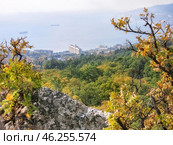 Осенний пейзаж. Вид на набережную. Ялта. Крым. Стоковое фото, фотограф Татьяна Т / Фотобанк Лори