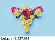 Uterus made of beautiful flowers on blue background. Стоковое фото, фотограф Pixel_shot / Фотобанк Лори