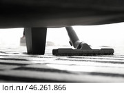 Woman hoovering carpet in flat. Стоковое фото, фотограф Pixel_shot / Фотобанк Лори