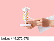 Male doctor demonstrating spinal anatomy with vertebral column model on pink background. Стоковое фото, фотограф Pixel_shot / Фотобанк Лори