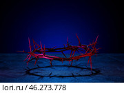 Crown of thorns on dark background. Стоковое фото, фотограф Pixel_shot / Фотобанк Лори
