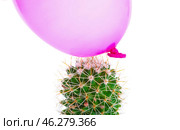 Cactus and air balloon on white background. Стоковое фото, фотограф Pixel_shot / Фотобанк Лори