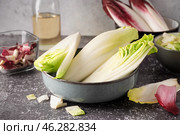 Bowl of cut fresh endive on table. Стоковое фото, фотограф Pixel_shot / Фотобанк Лори