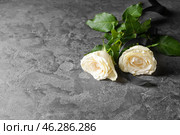 Rose flowers and black mourning ribbon on grunge table. Стоковое фото, фотограф Pixel_shot / Фотобанк Лори