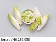 Composition with bowl of cut fresh endive on white background. Стоковое фото, фотограф Pixel_shot / Фотобанк Лори