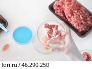 Scientist holding Petri dish with meat sample in laboratory, closeup. Стоковое фото, фотограф Pixel_shot / Фотобанк Лори