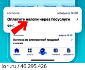 Оплата налогов через "Госуслуги". Портал "Госуслуги". Стоковое AI-изображение, AI-художник Галина Сячина / Фотобанк Лори